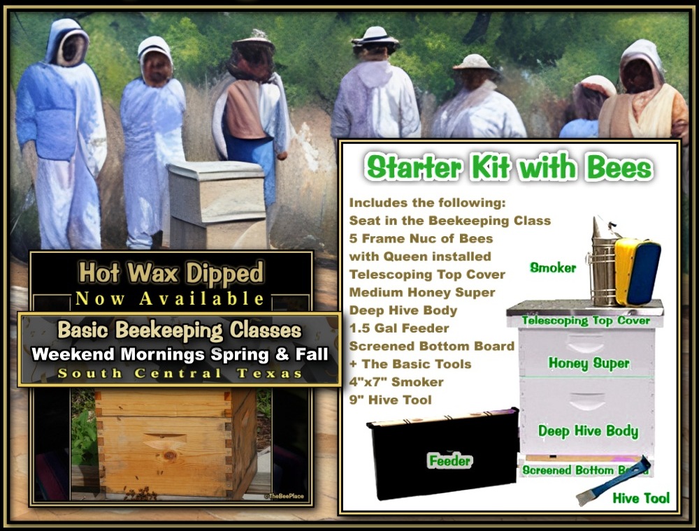Apiary Starter Kits Image 1