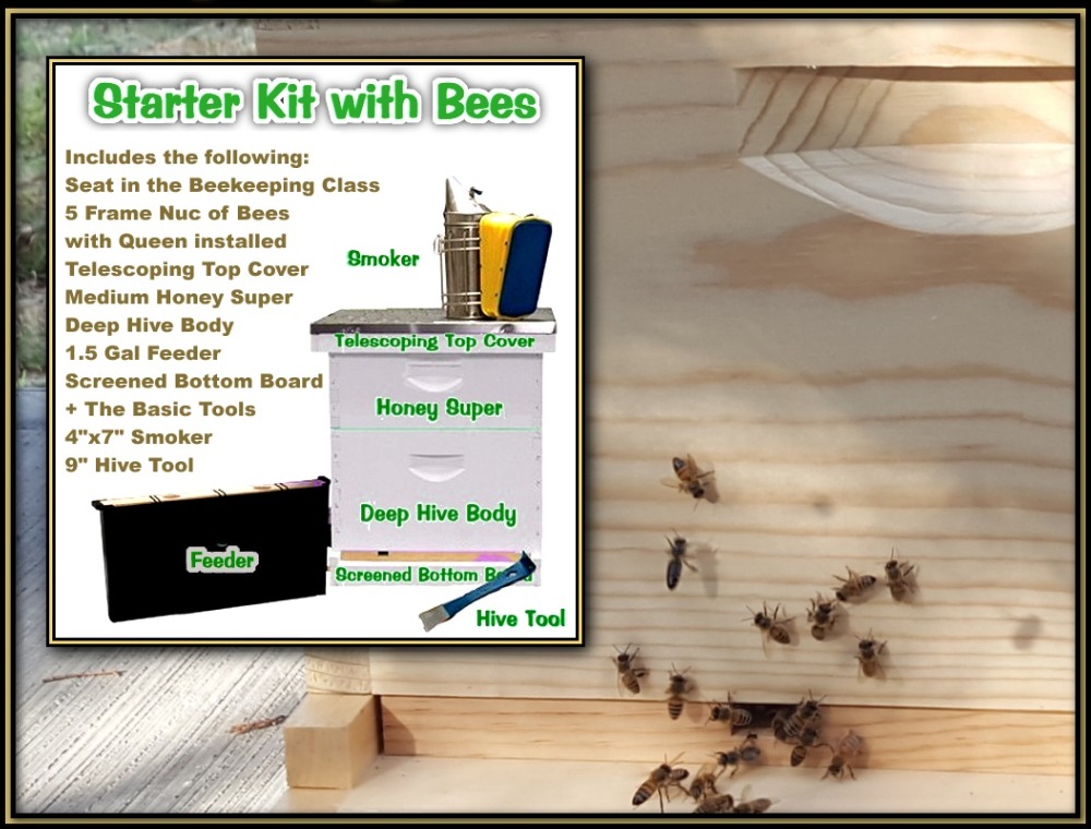 Apiary Starter Kits Image 5