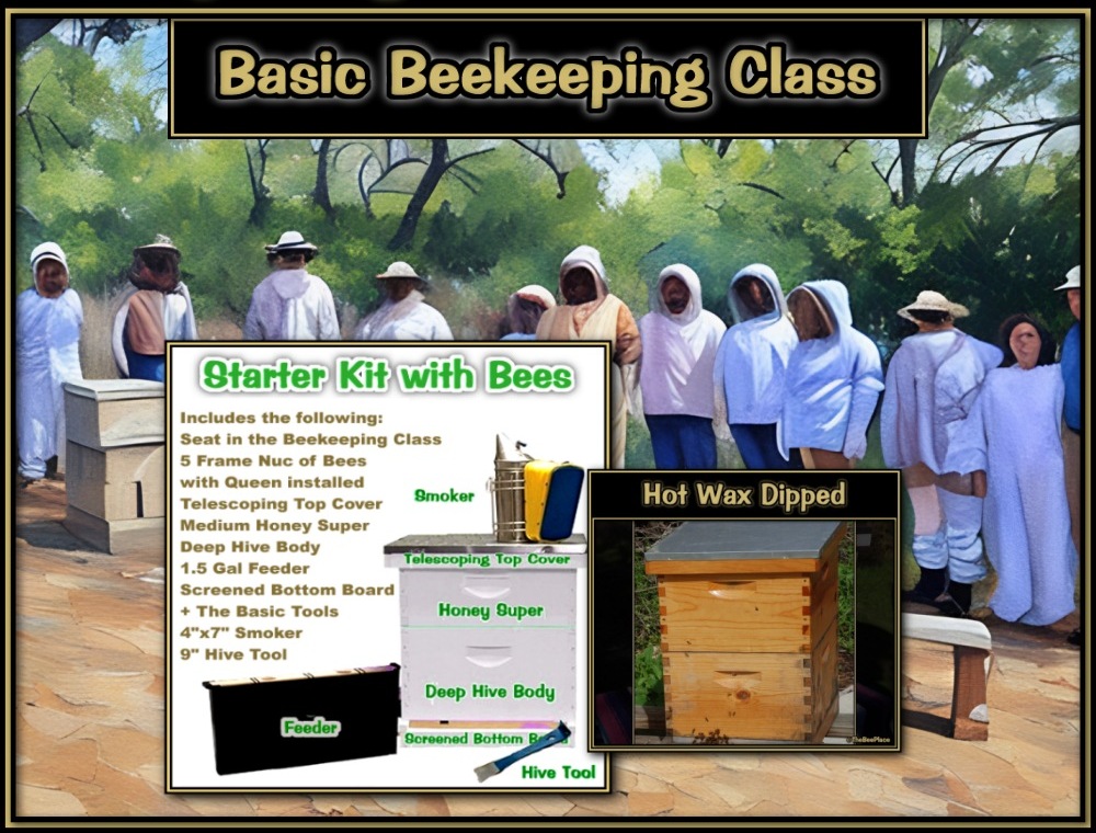 Apiary Starter Kits Image 6