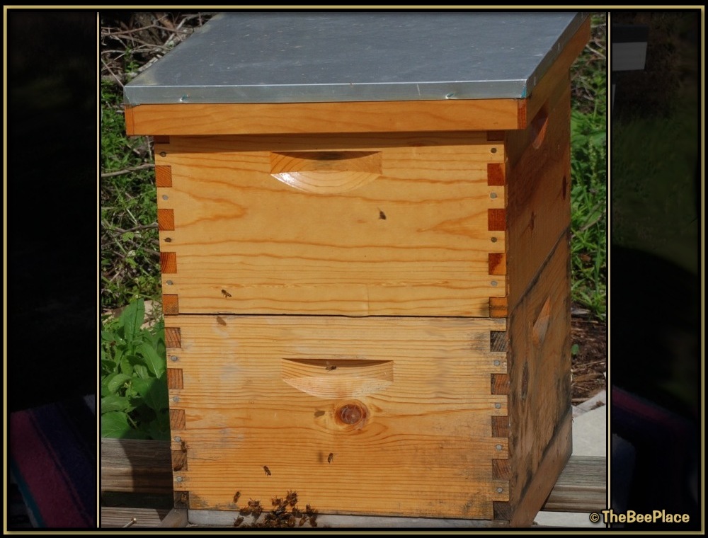 Double Deep Hives Image 2