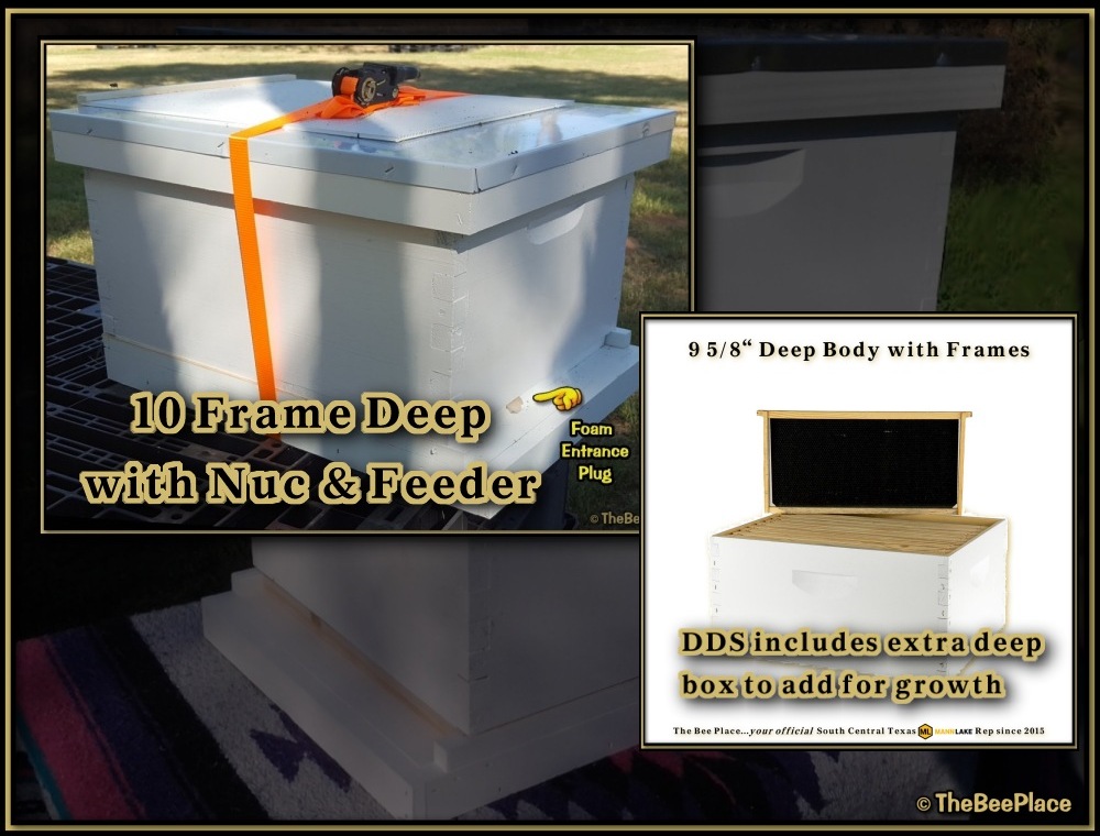 Double Deep Hives Image 5