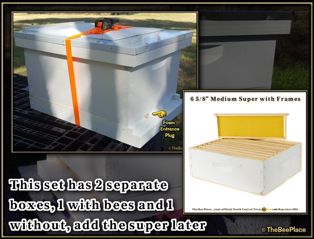 Honey Super Deluxe Image 5