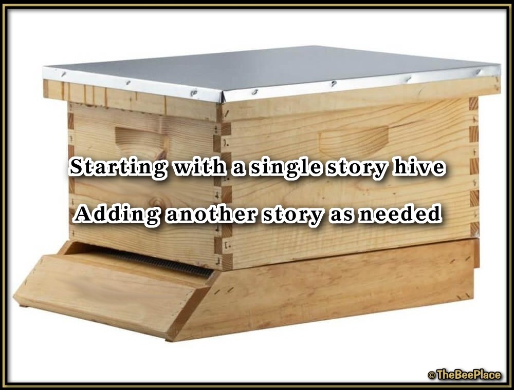 Honey Super Deluxe Image 9