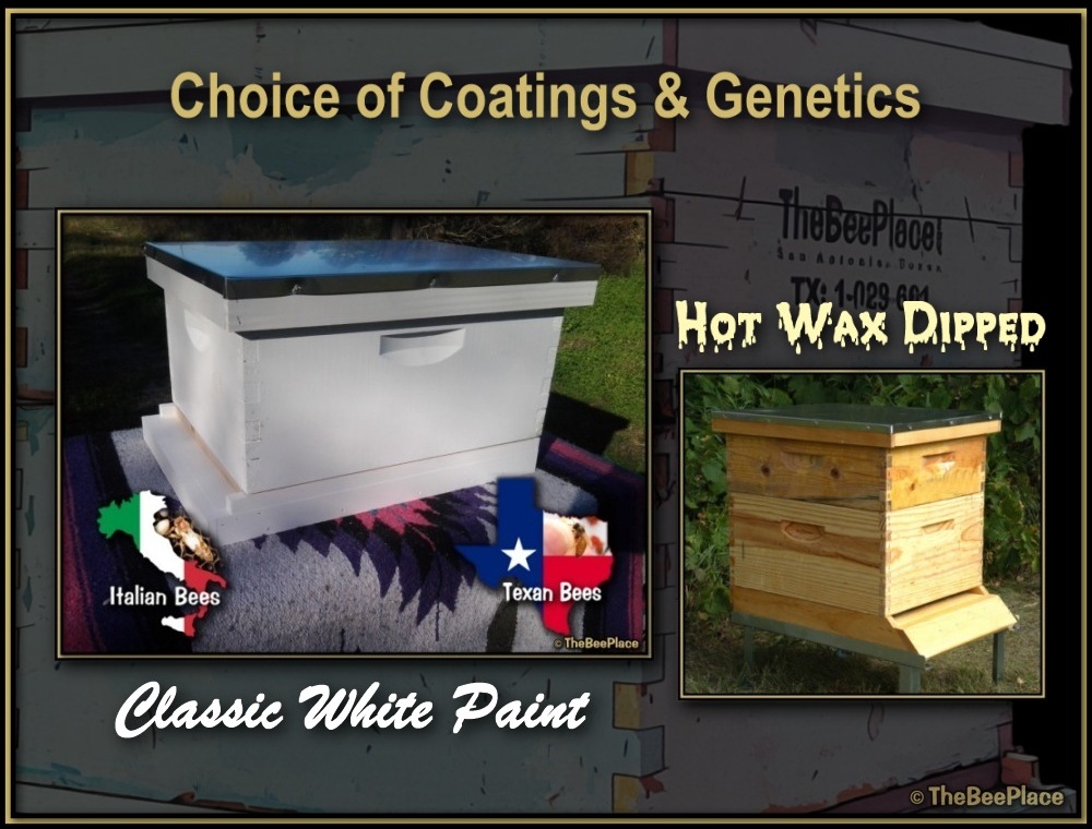 Order Bees And Hives 04