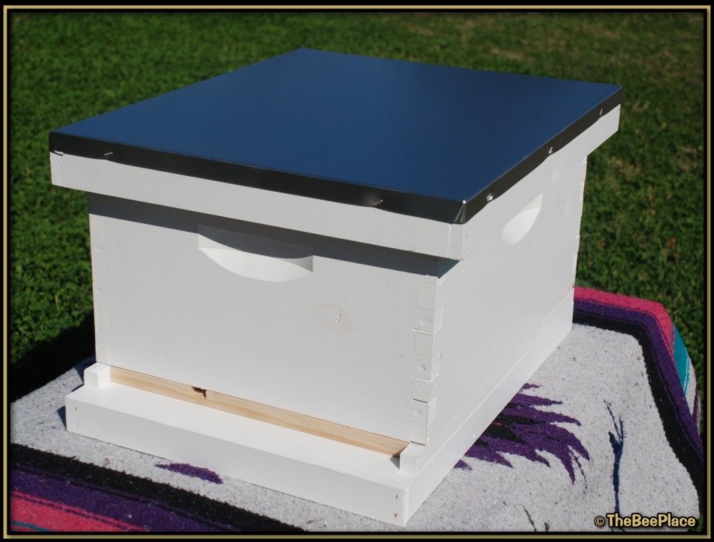 Single Deep Hives Image 2