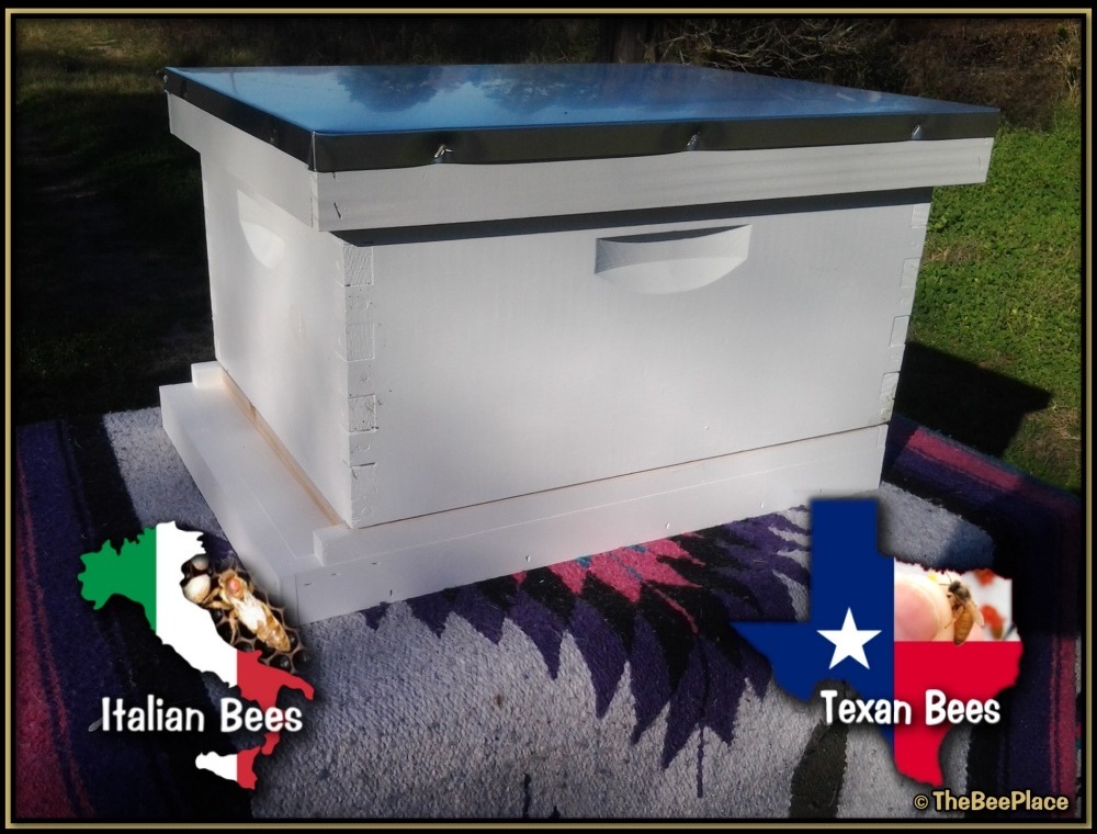 Single Deep Hives Image 3