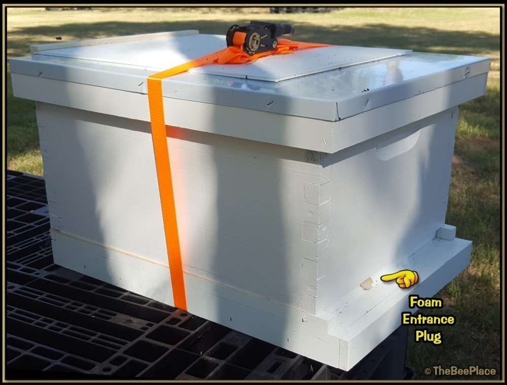 Single Deep Hives Image 8