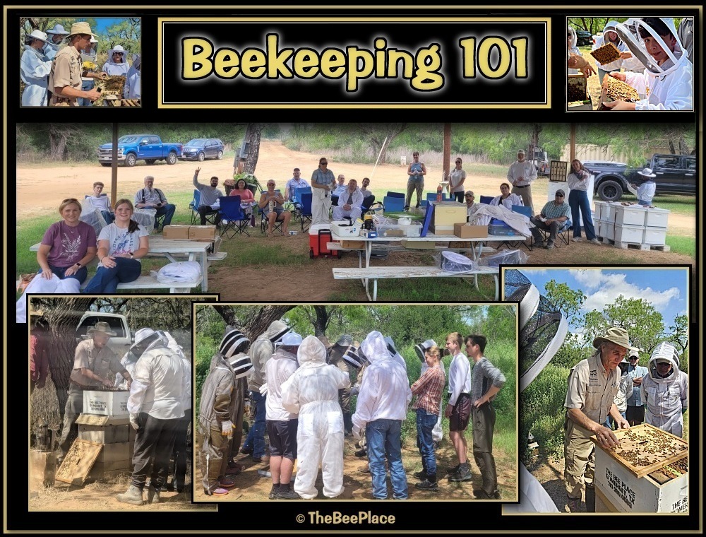 Basic Beekeeping Class Image 1