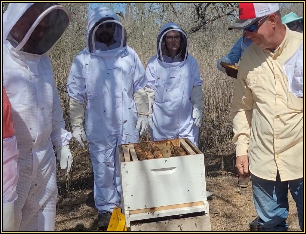 Basic Beekeeping Class Image 4