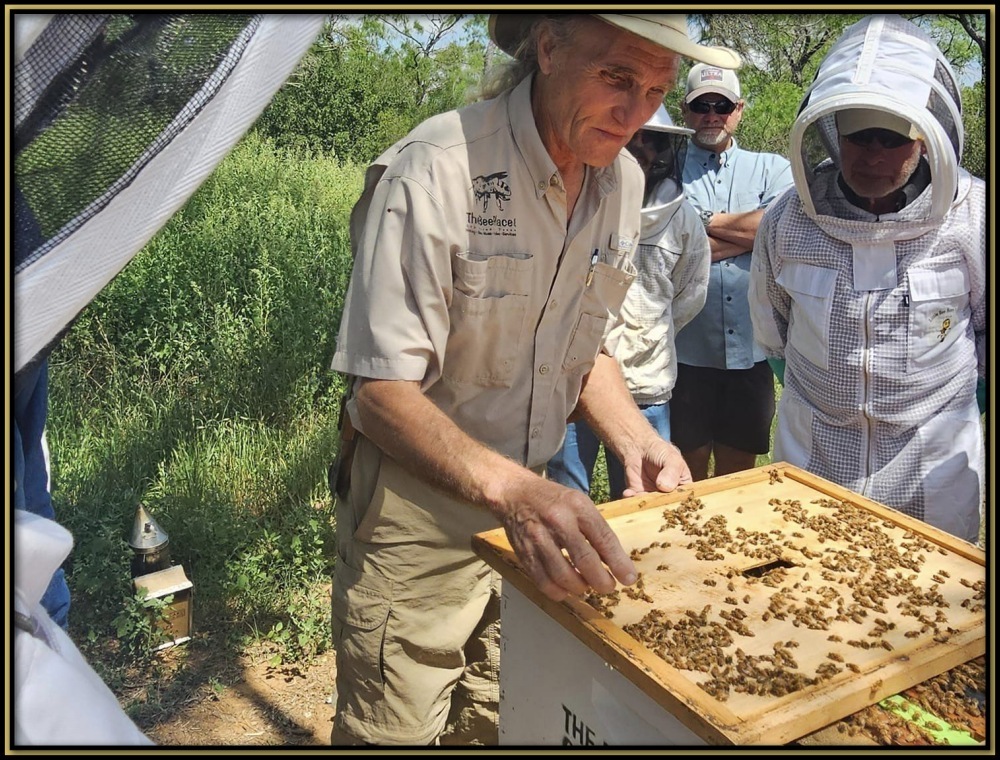 Basic Beekeeping Class Image 5