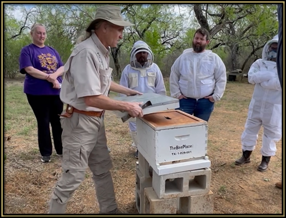 Basic Beekeeping Class Image 6