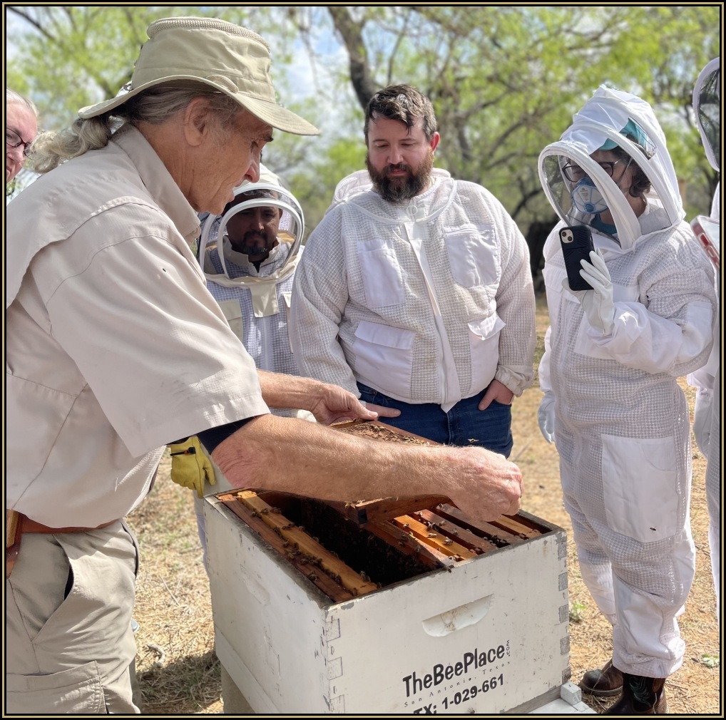 Basic Beekeeping Class Image 7