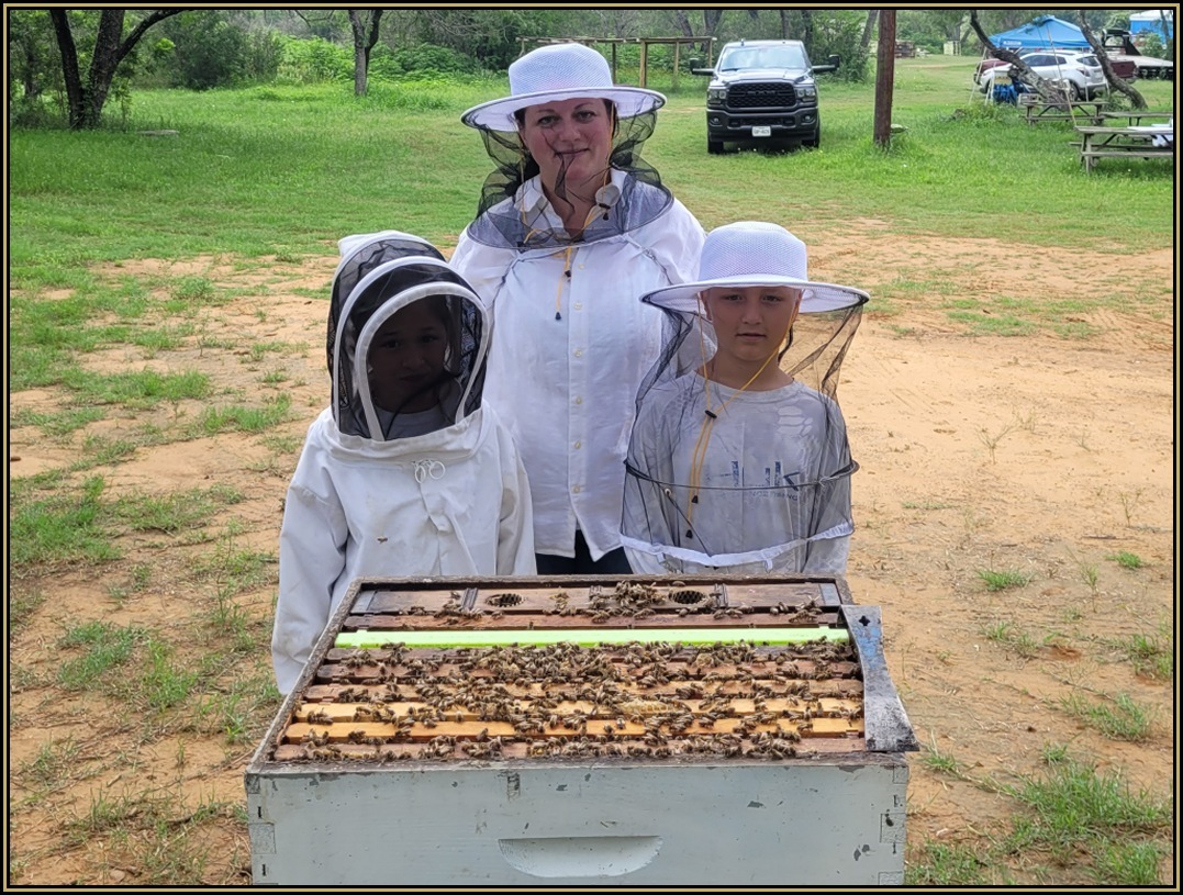 Basic Beekeeping Class Image 9