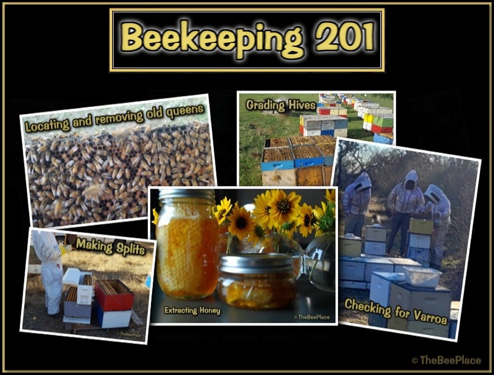 Intermediate Class Image 1