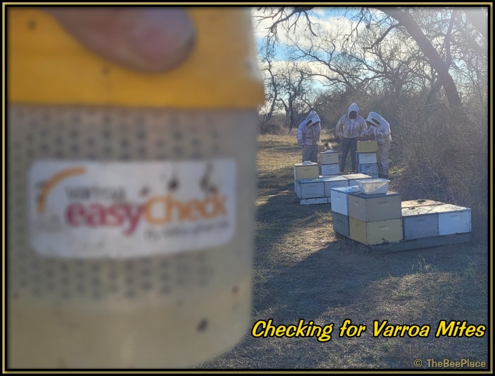 Intermediate Class Image 2