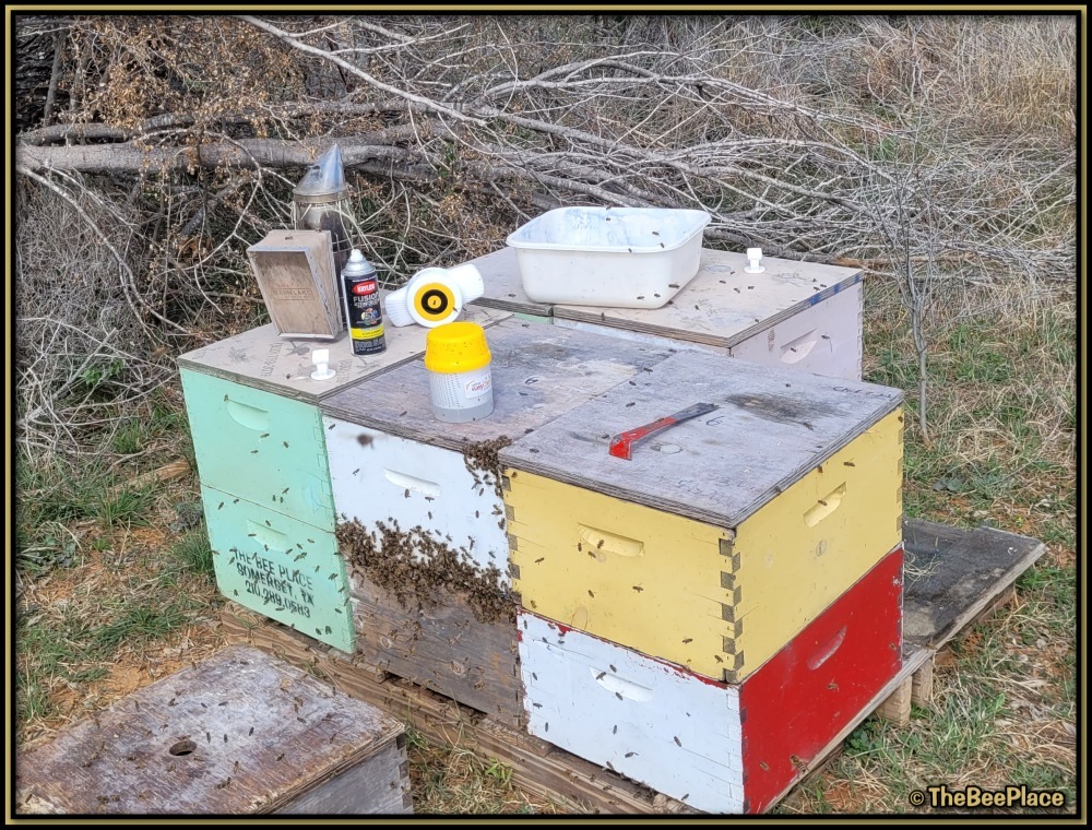 Intermediate Class Image 4