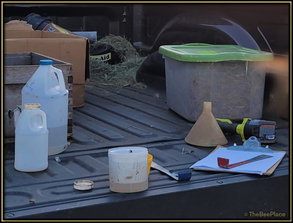 Intermediate Class Image 5