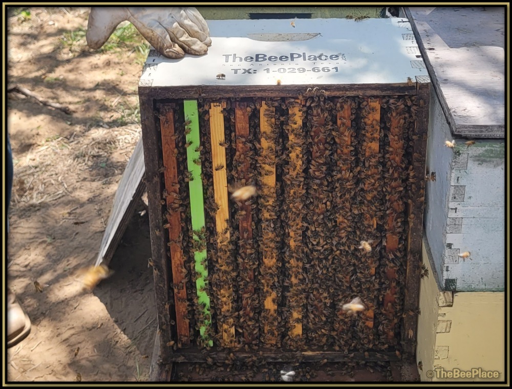 Intermediate Class Image 7