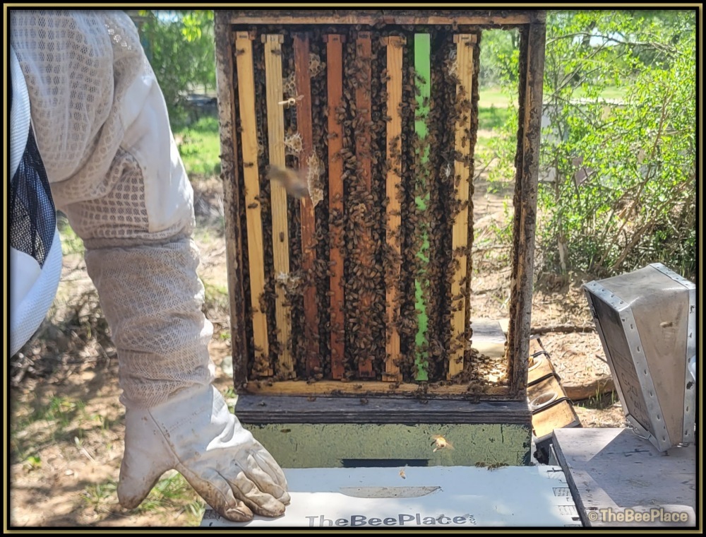 Intermediate Class Image 8