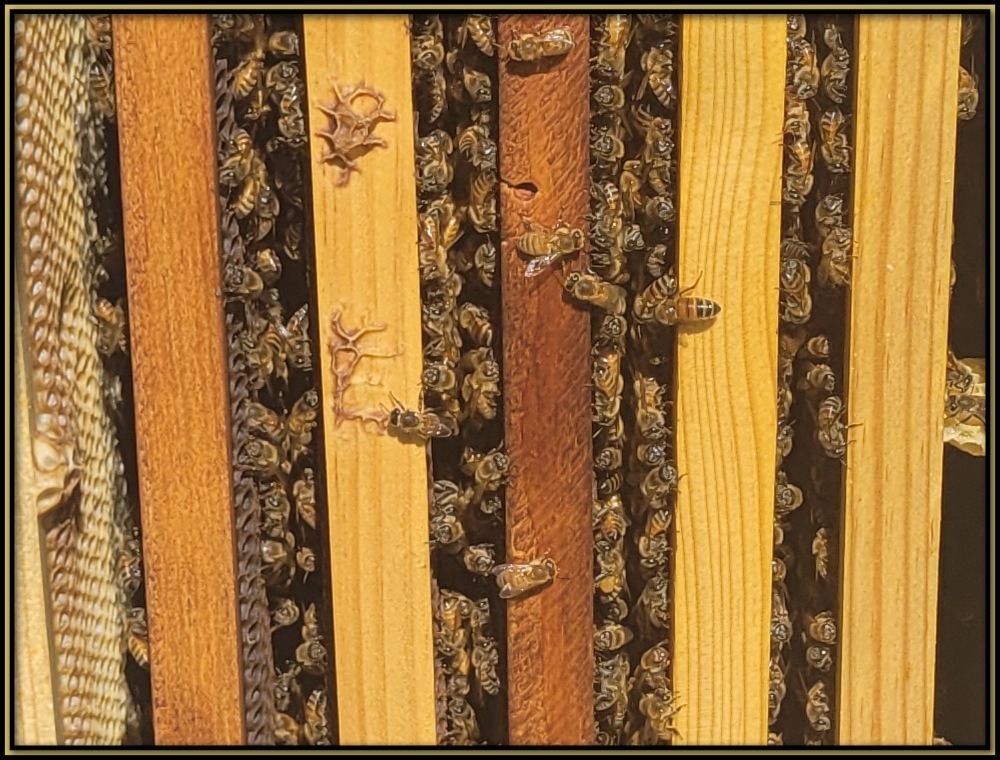 Intermediate Class Image 9