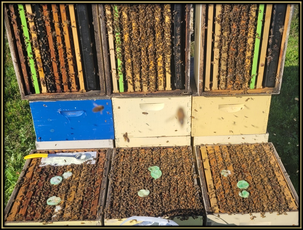 Intermediate Class Image 10