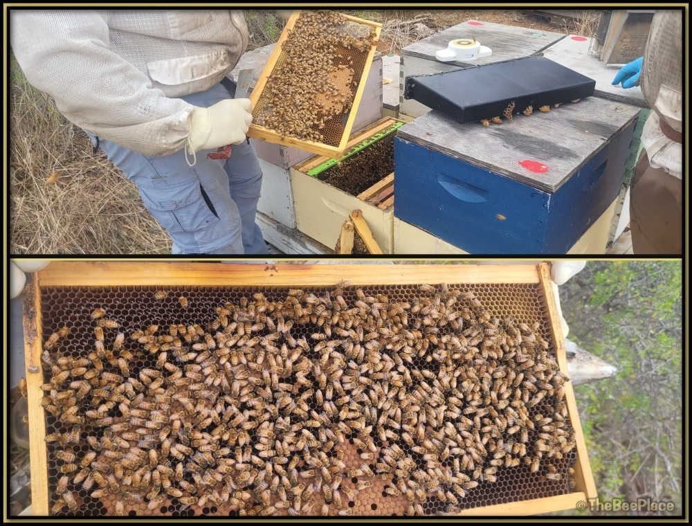 Intermediate Class Image 11