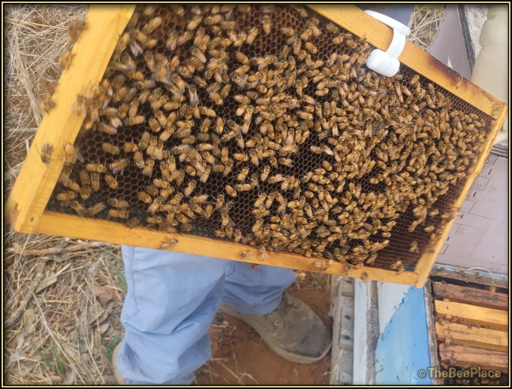 Intermediate Class Image 12