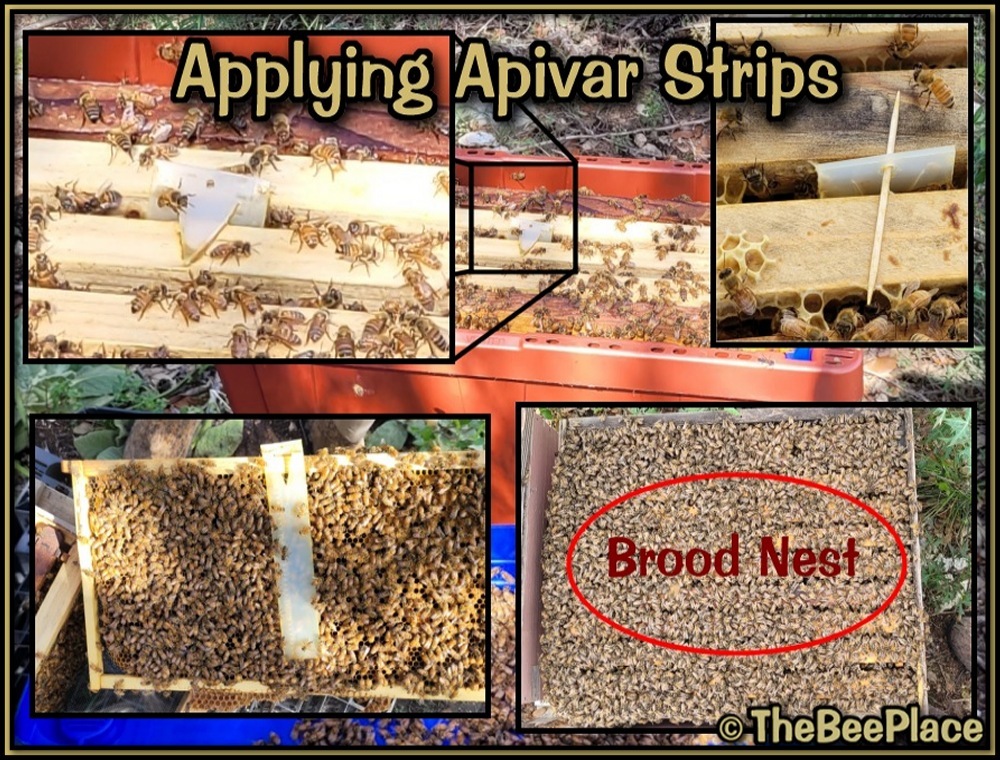 Intermediate Class Image 13