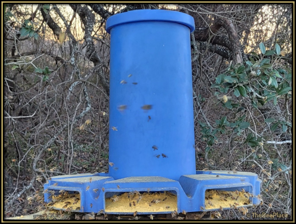 Large commercial honey bee pollen feeder allowing bees to collect supplemental pollen during periods of low natural forage