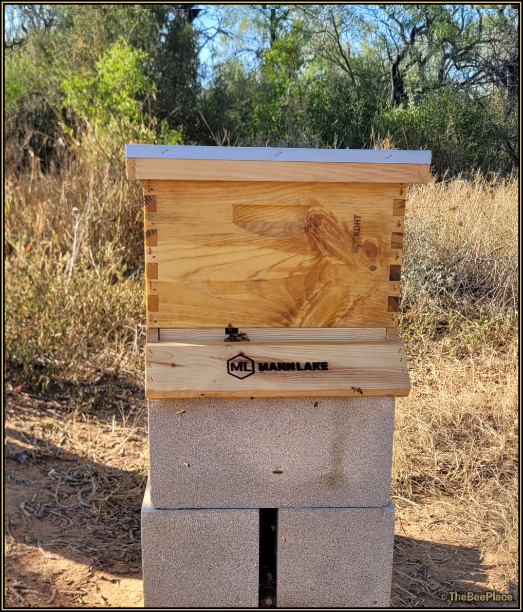 After You Get Home 04