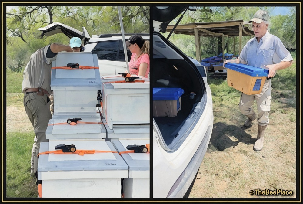 Order Pickup Instructions 01