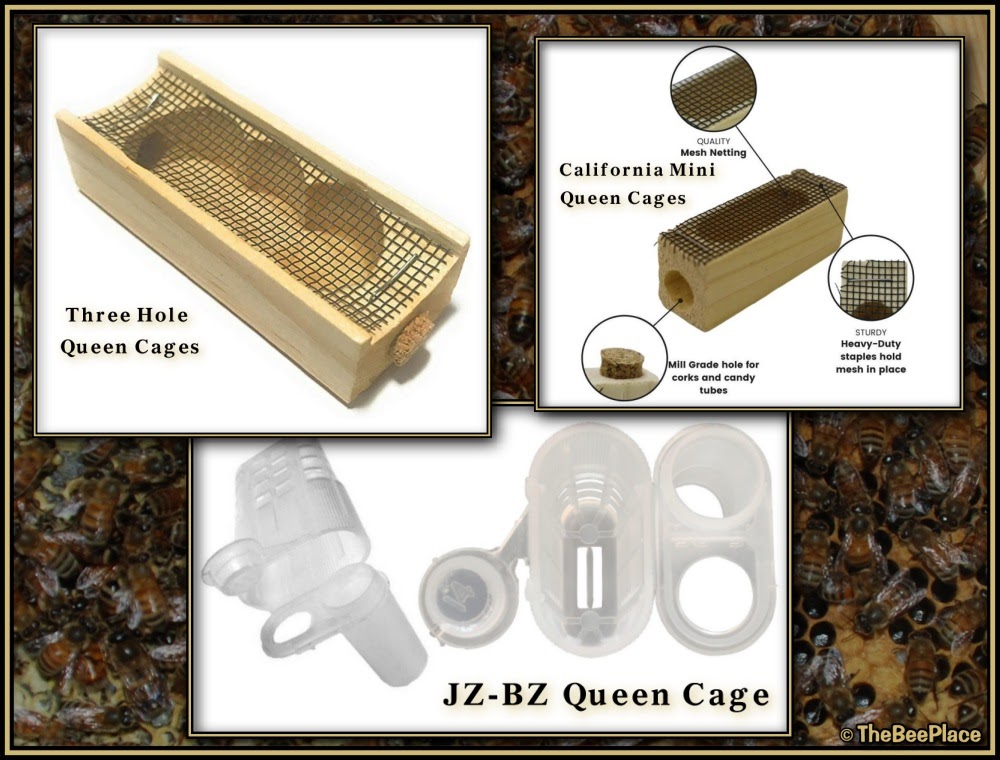 Common queen cage types including wooden three-hole cage, California mini cage, and plastic JZ-BZ queen cage.