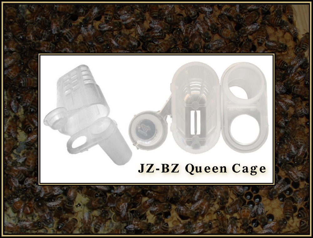 Installing Queens 04