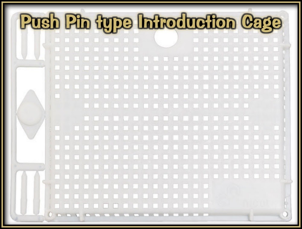 Push-in style queen introduction cage used to confine a queen on comb during acceptance period.