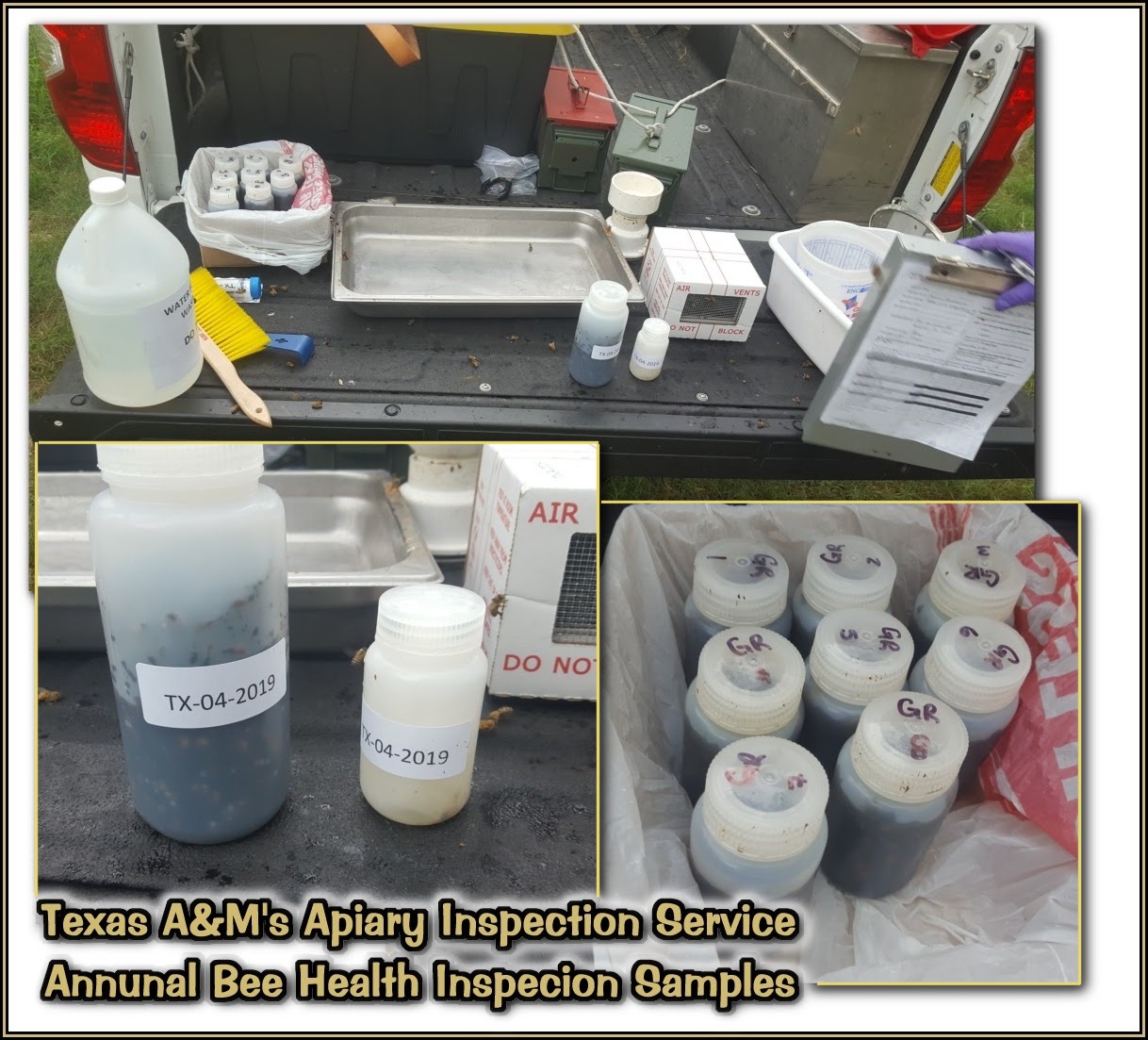 Health Certificate 01