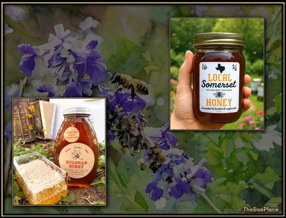 Local Honey 01