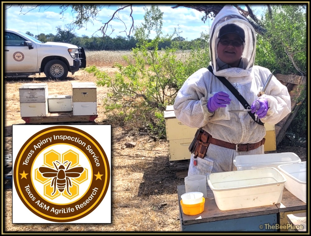 Additional Resources 07