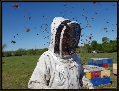 Beekeeper Safety