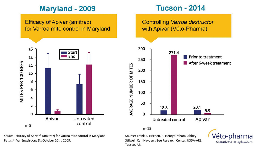 Apivar Strips Image 2