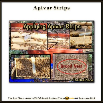 Apivar Strips