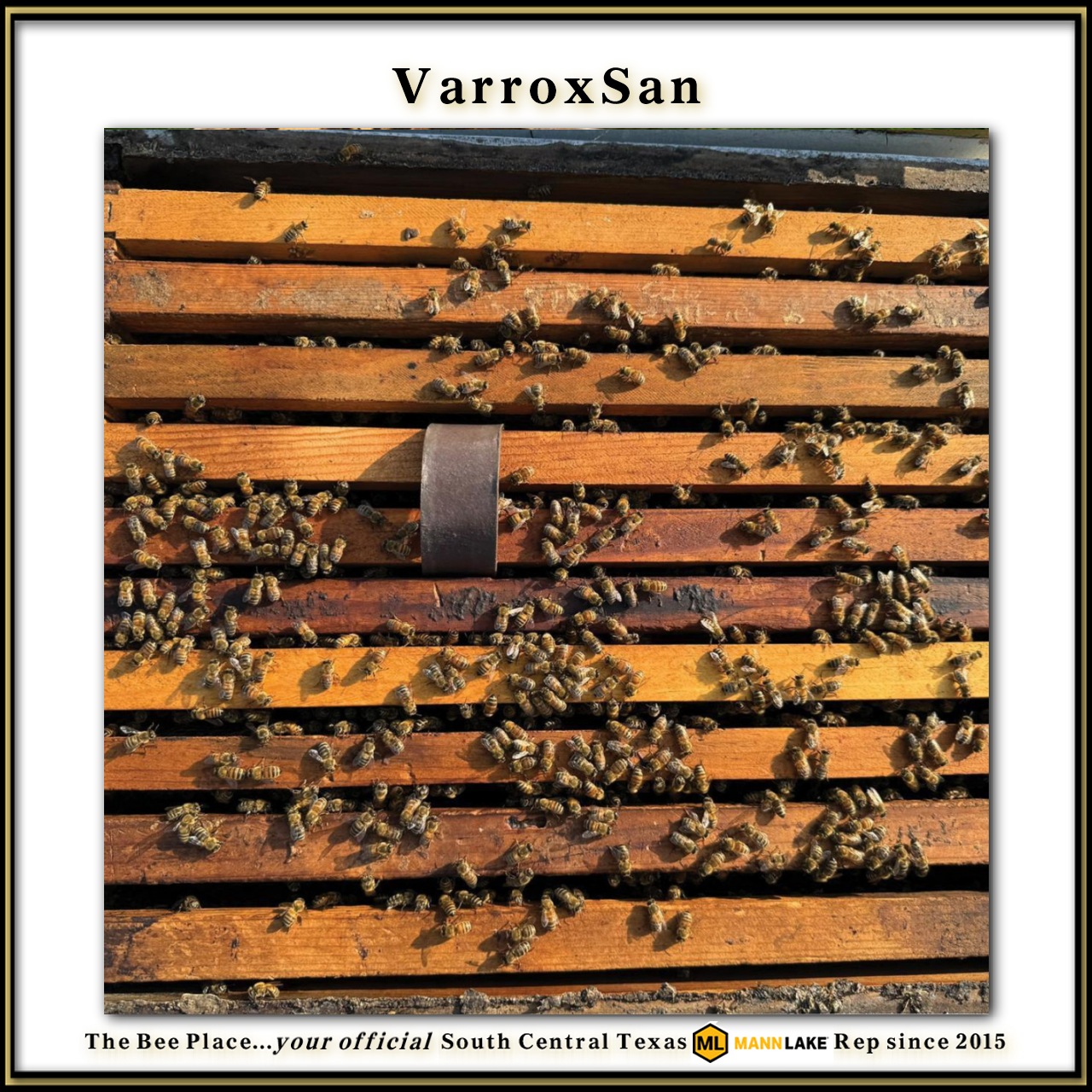 Varroxsan Image 3
